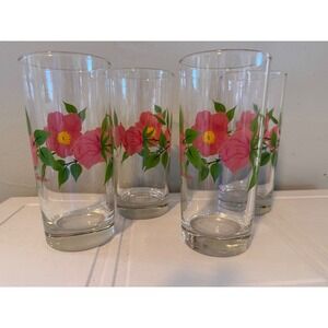 Franciscan Desert Rose Highball Glasses 4 Vintage Floral Tumblers whimsi boho pi